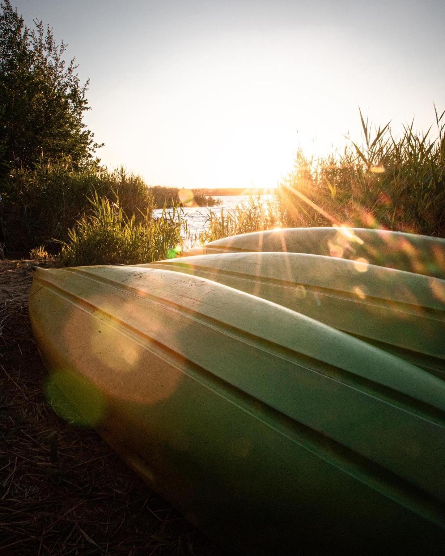 Raus Und Gut Glamping Am Graebendorfer See Drebkau ภายนอก รูปภาพ